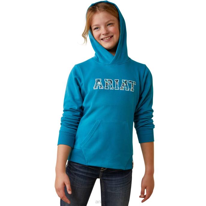 Ariat 3D Logo 2.0 Hoodie Kids D0X63701 Mosaic Blue Clothing