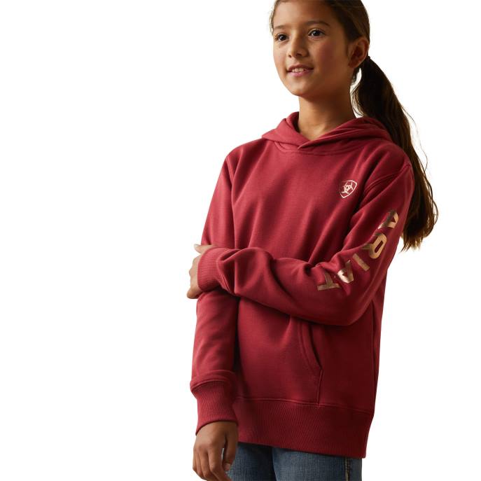 Ariat REAL Arm Logo Hoodie Kids D0X64110 Earth Red Clothing