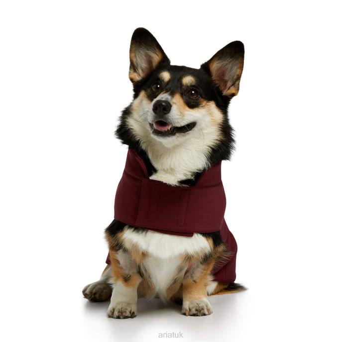 Ariat Team Softshell Dog Jacket Unisex D0X62011 Windsor Wine Accessories