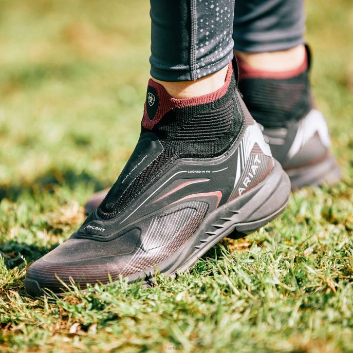 Ariat Ascent Paddock Boot Women D0X62341 Black/Burgundy Footwear