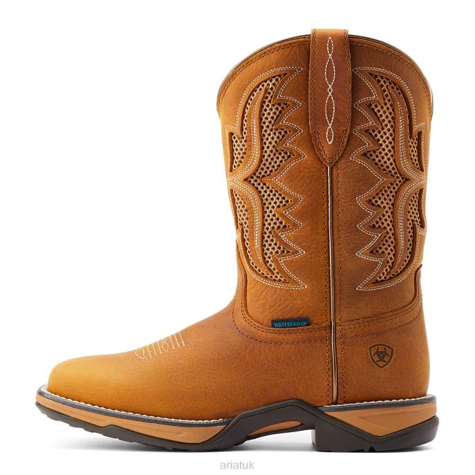 Ariat Anthem VentTEK Waterproof Western Boot Women D0X62276 Toasted Wheat Footwear